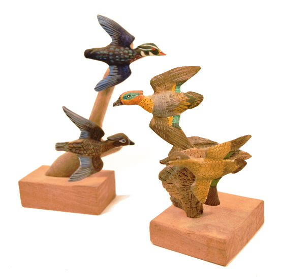 Black Duck Studio Gallery Large View